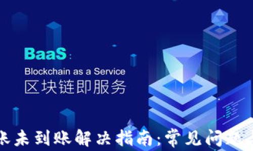 
TP钱包转账未到账解决指南：常见问题与解决方案