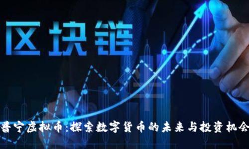 普宁虚拟币：探索数字货币的未来与投资机会