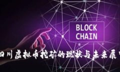 四川虚拟币挖矿的现状与未来展望