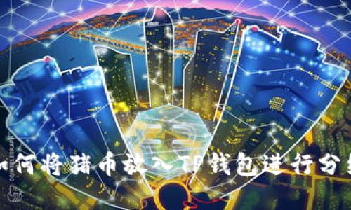  如何将猪币放入TP钱包进行分红？