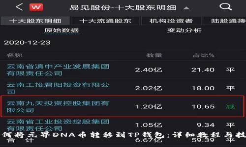 如何将元界DNA币转移到TP钱包：详细教程与技巧