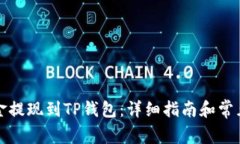 如何将资金提现到TP钱包：详细指南和常见问题解