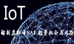 全面解析虚拟币NAS：投资机会与风险详解