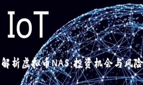 全面解析虚拟币NAS：投资机会与风险详解