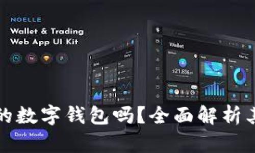 : TP钱包是全球性的数字钱包吗？全面解析其国际化特点与功能