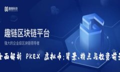 全面解析 PKEX 虚拟币：背景、特点与投资前景