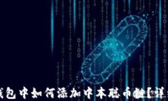 在TP钱包中如何添加中本聪币链？详细指南