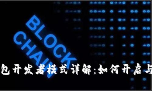TP钱包开发者模式详解：如何开启与使用