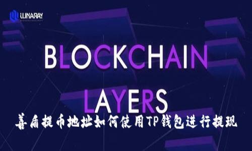 善盾提币地址如何使用TP钱包进行提现