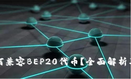 TP钱包如何兼容BEP20代币？全面解析及使用指南