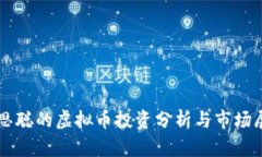 王思聪的虚拟币投资分析与市场展望