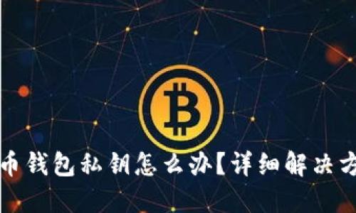忘记虚拟币钱包私钥怎么办？详细解决方案与建议