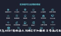 t P钱包USDT转账多久到账？详细解析与常见问题解