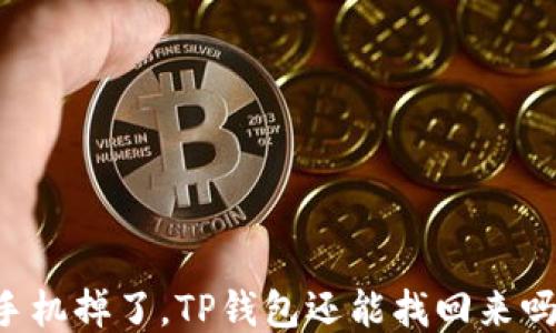 
手机掉了，TP钱包还能找回来吗？