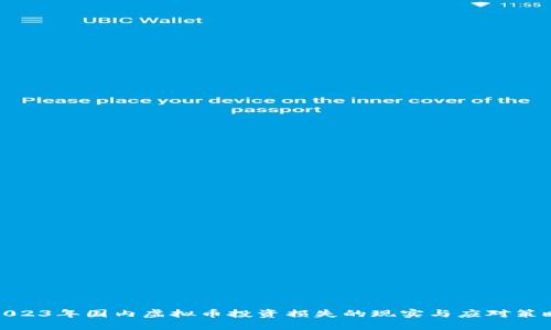 2023年国内虚拟币投资损失的现实与应对策略