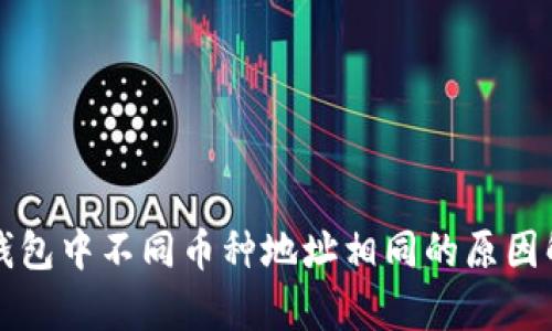 TP钱包中不同币种地址相同的原因解析