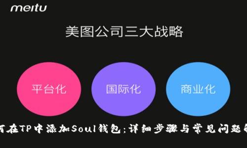 如何在TP中添加Soul钱包：详细步骤与常见问题解答