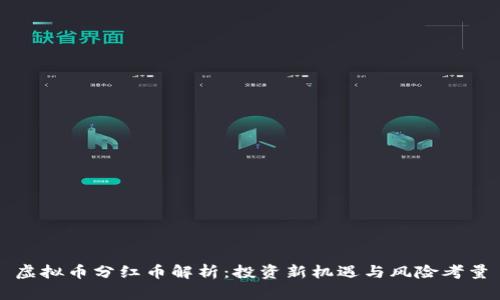 虚拟币分红币解析：投资新机遇与风险考量