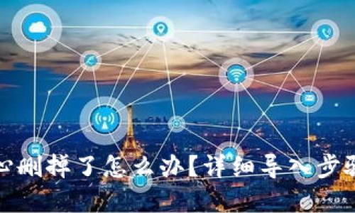 TP钱包不小心删掉了怎么办？详细导入步骤及解决方案