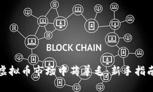 如何在虚拟币市场中薅羊毛：新手指南与技巧