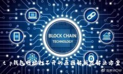 t p钱包网址打不开的原因解析及解决方案