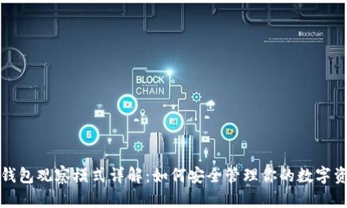 TP钱包观察模式详解：如何安全管理你的数字资产