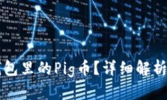 什么是TP钱包里的Pig币？详细解析与使用指南