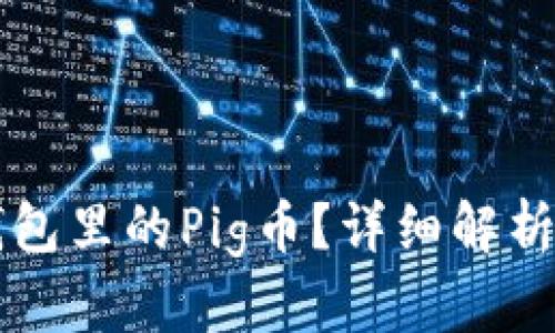 什么是TP钱包里的Pig币？详细解析与使用指南