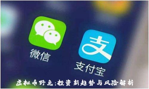   
虚拟币野兔：投资新趋势与风险解析