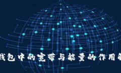 TP钱包中的宽带与能量的作用解析