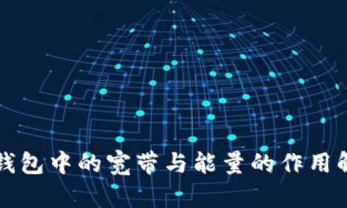 TP钱包中的宽带与能量的作用解析