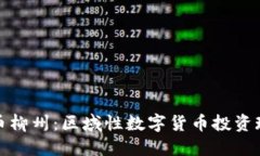 探索虚拟币柳州：区域性数字货币投资现状与未